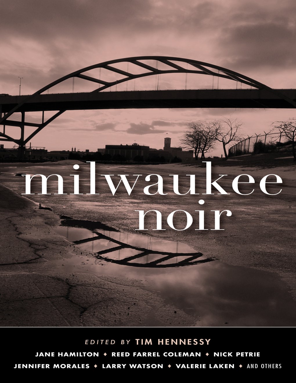 Cover of Milwaukee Noir