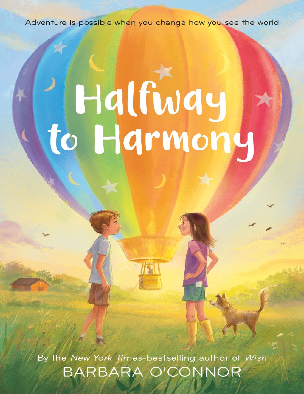 Cover of Halfway to Harmony