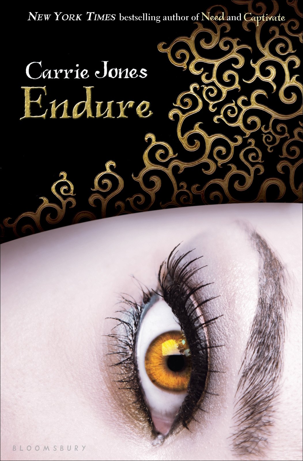 Cover of Endure