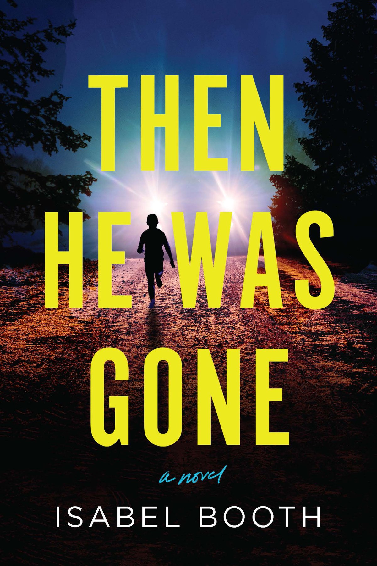 Cover of Then He Was Gone