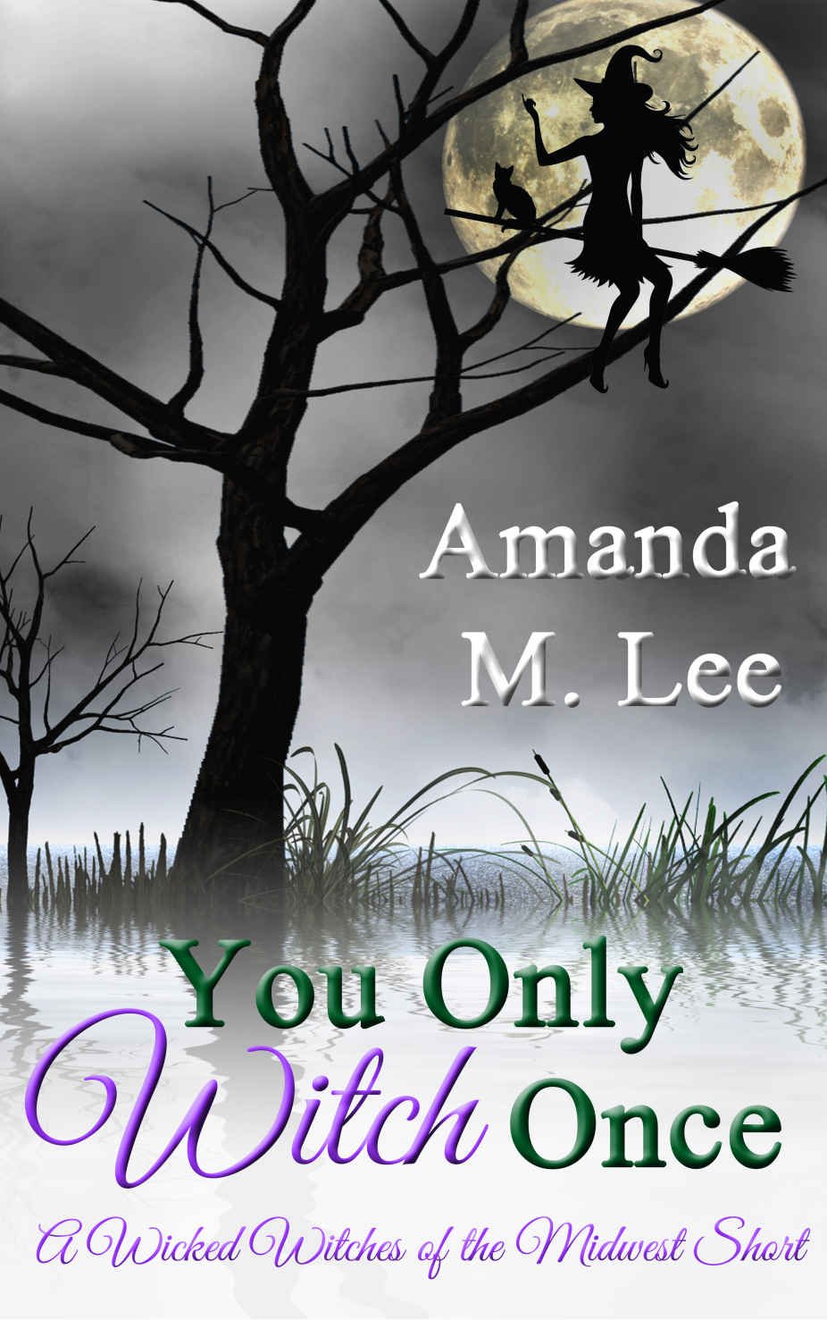 Cover of wicked witches 06.9 - you only witch once