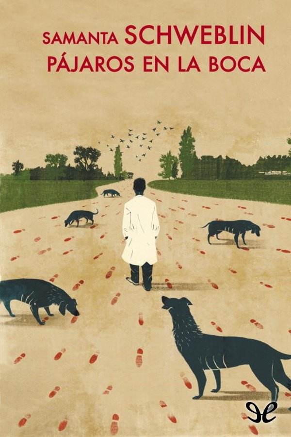 Cover of Pájaros en la boca