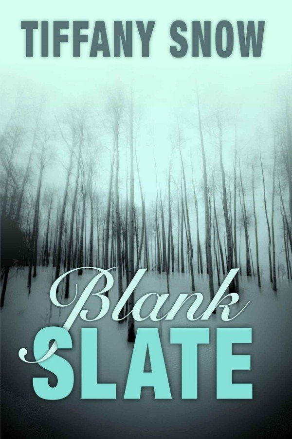 Cover of Blank Slate