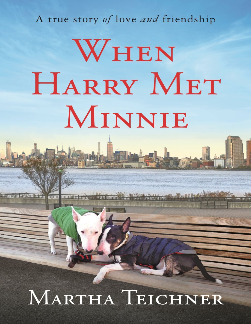 Cover of When Harry Met Minnie