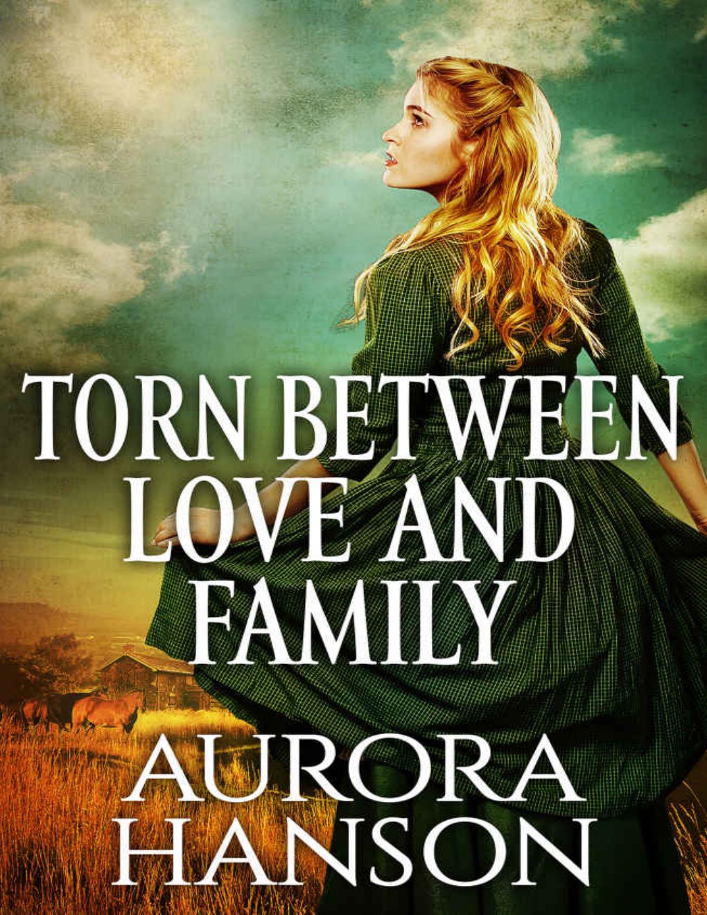 Cover of Torn Between Love and Family