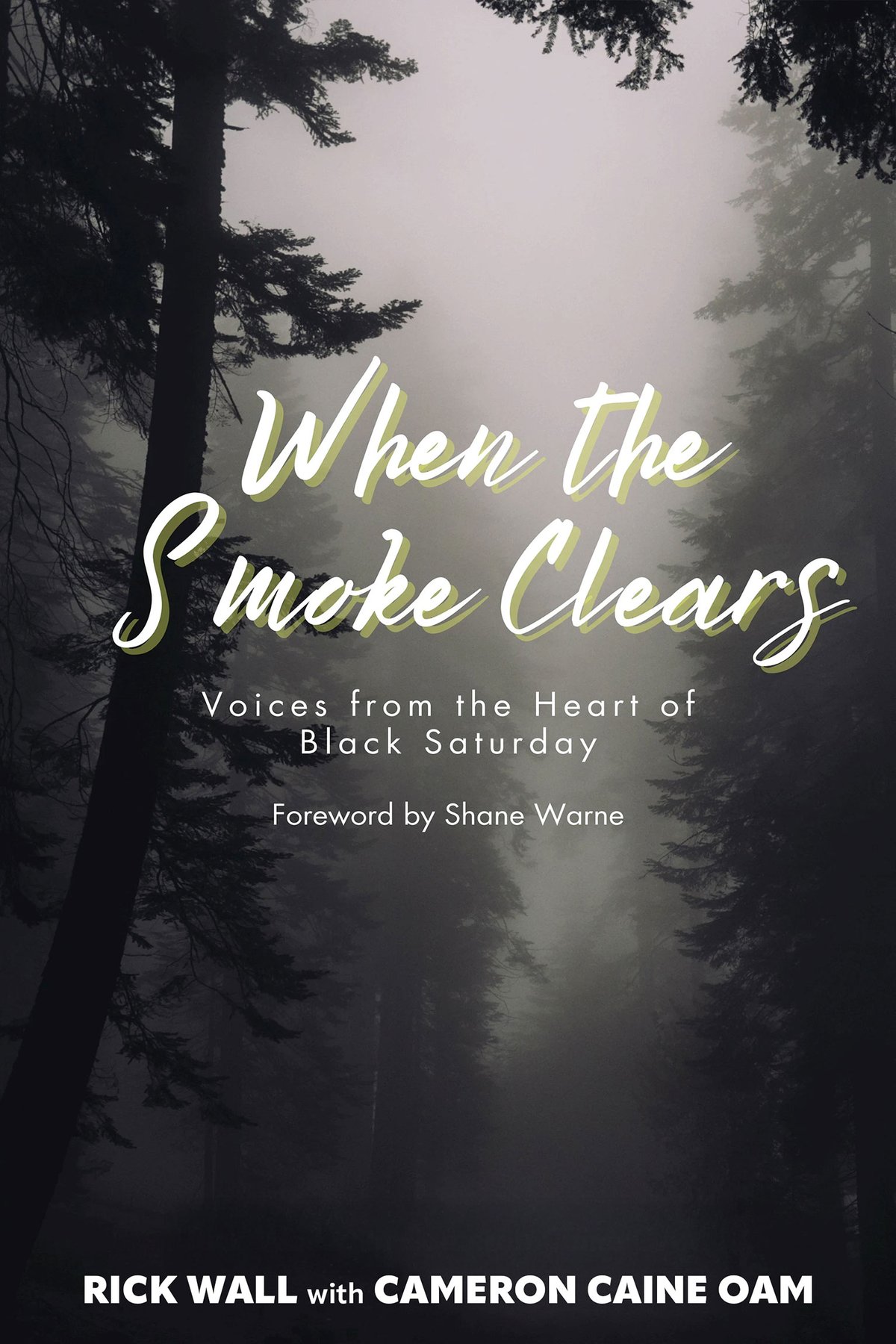 Cover of When the Smoke Clears (2009)