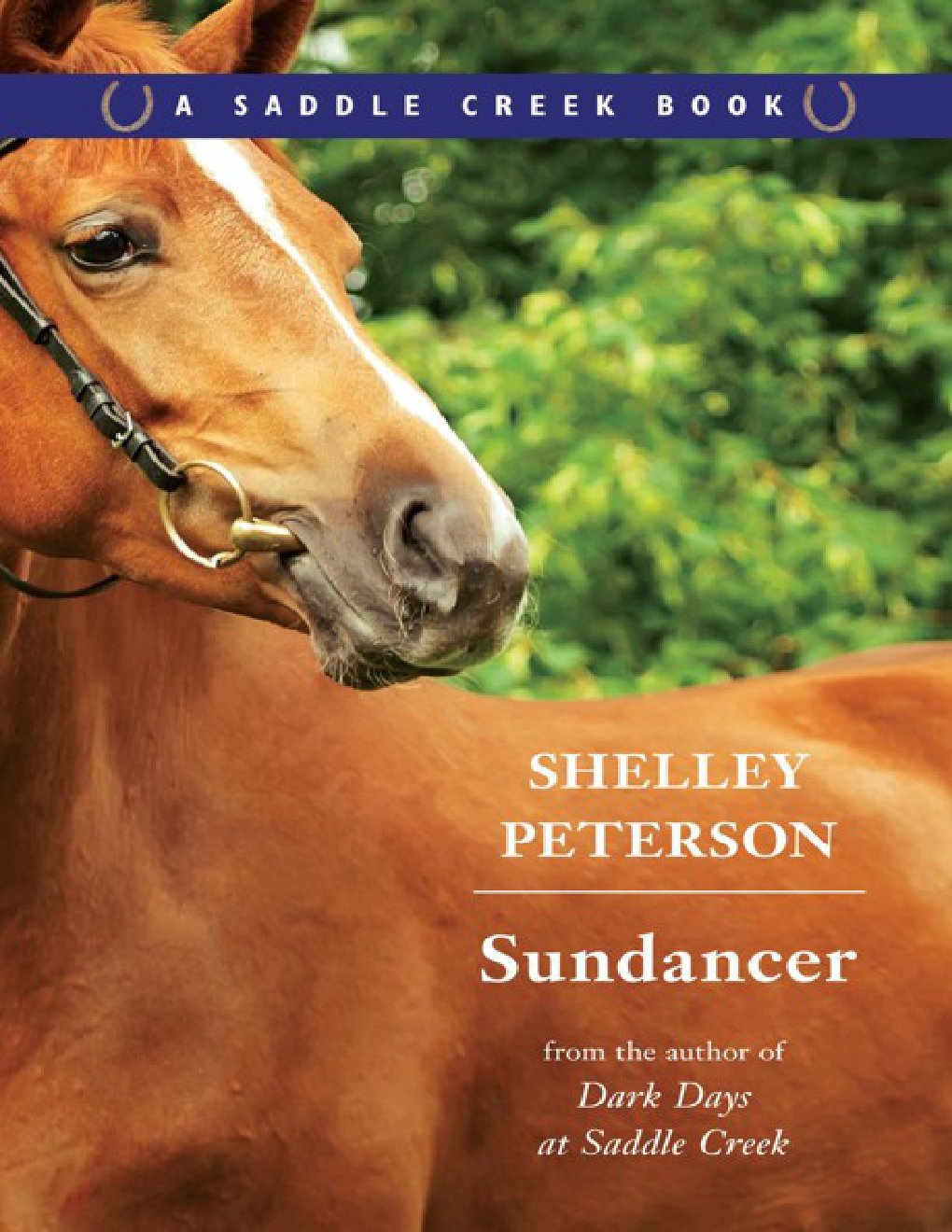 Cover of Sundancer