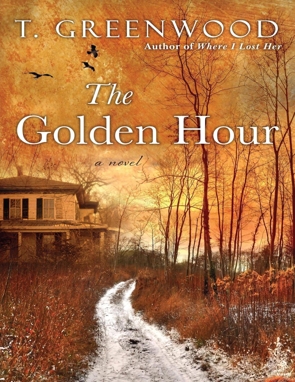 Cover of The Golden Hour