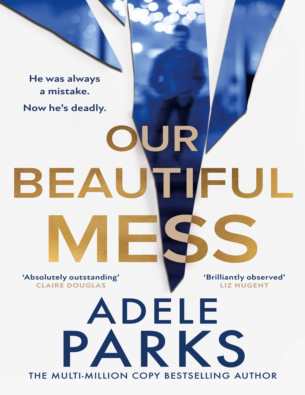 Cover of Our Beautiful Mess