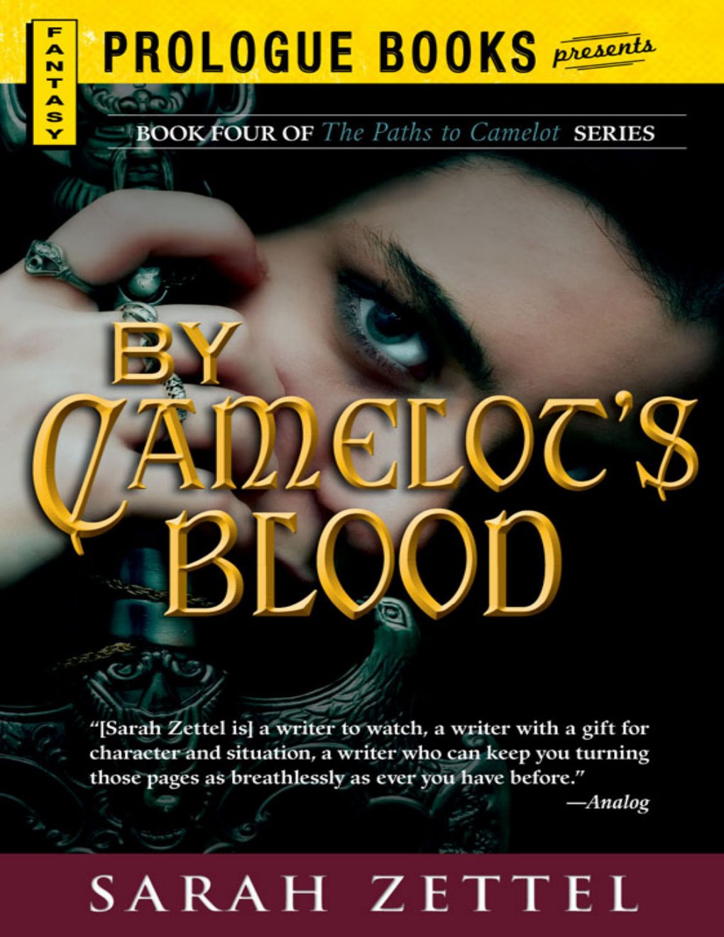 Cover of Camelot's Blood
