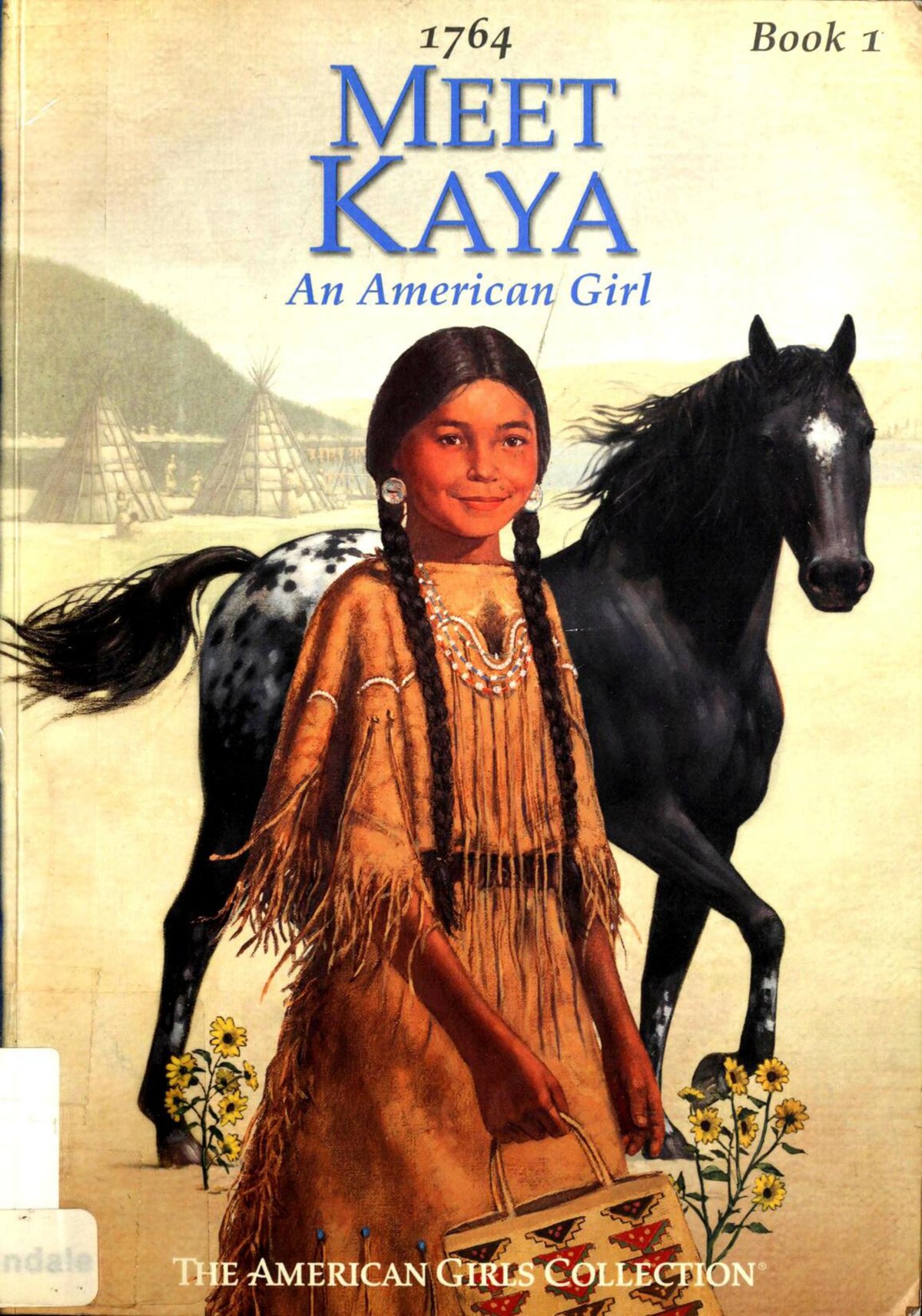 Cover of Meet Kaya
