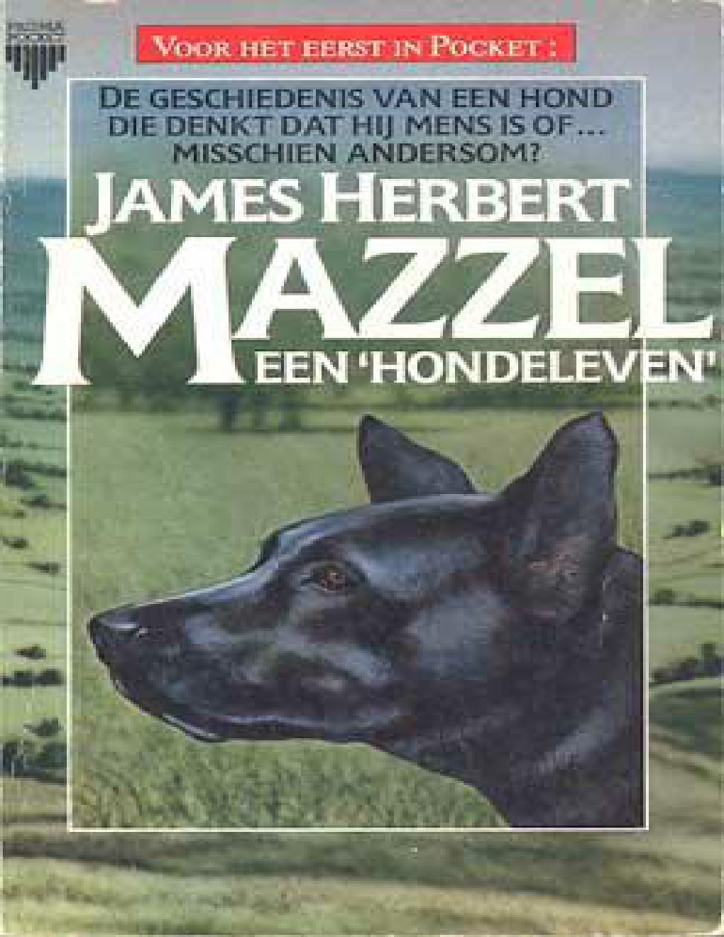 Cover of Mazzel (1977)