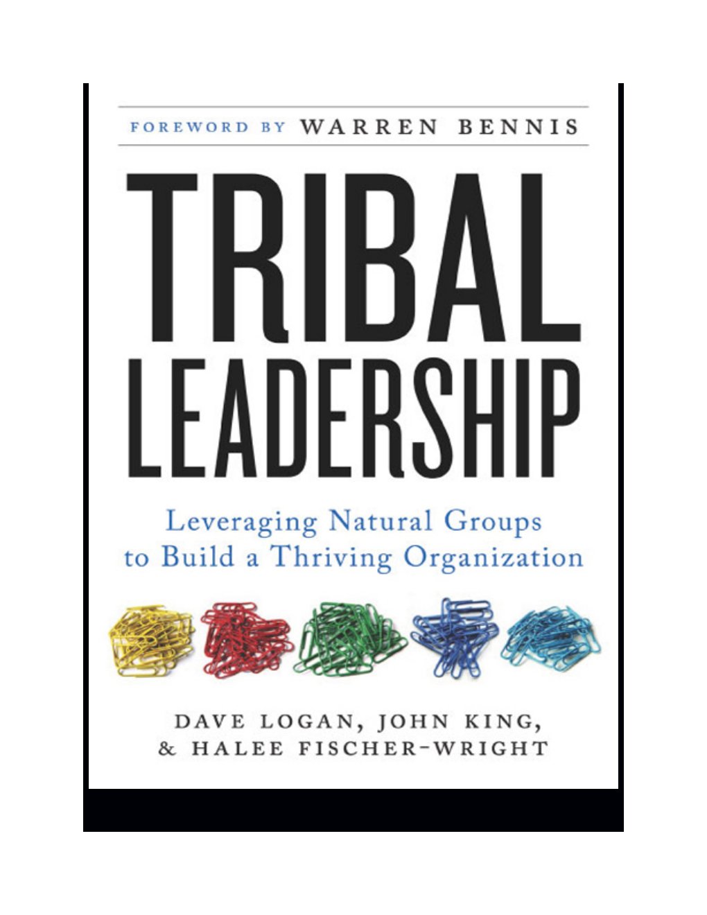 Cover of Tribal Leadership