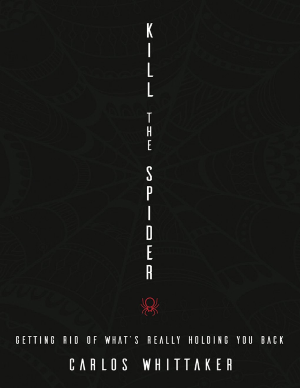Cover of Kill the Spider