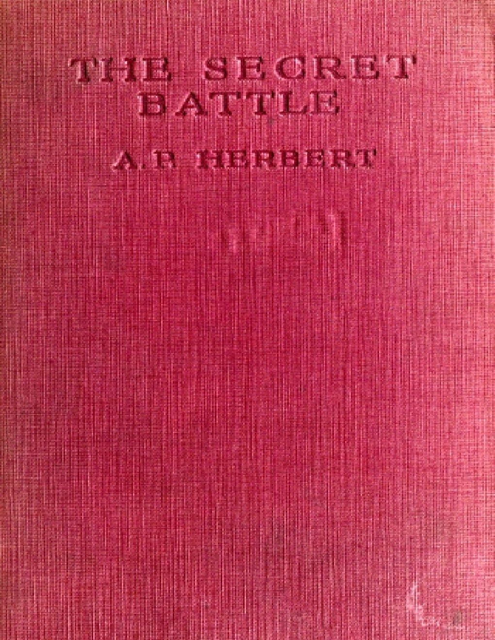 Cover of The Secret Battle