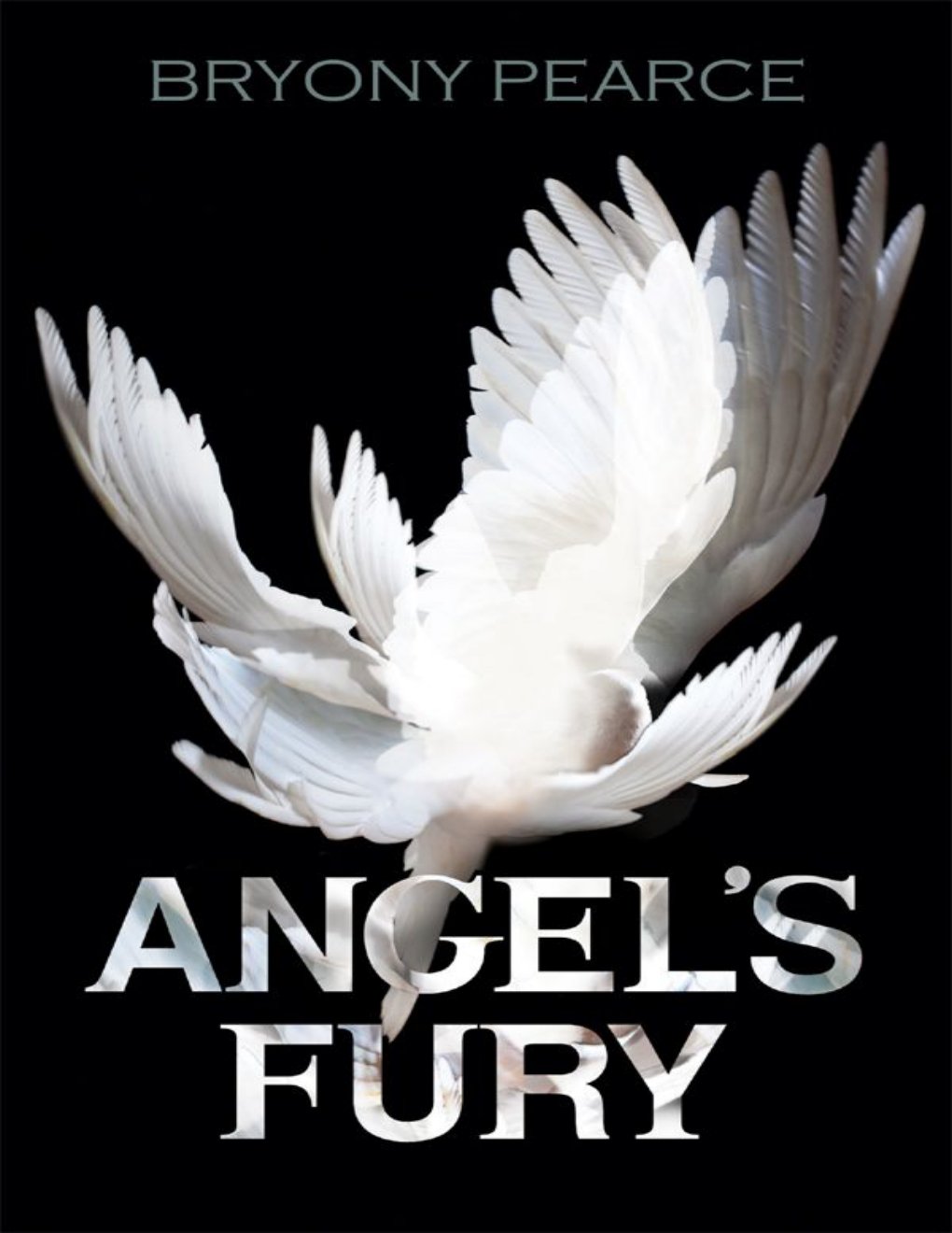 Cover of Angel's Fury