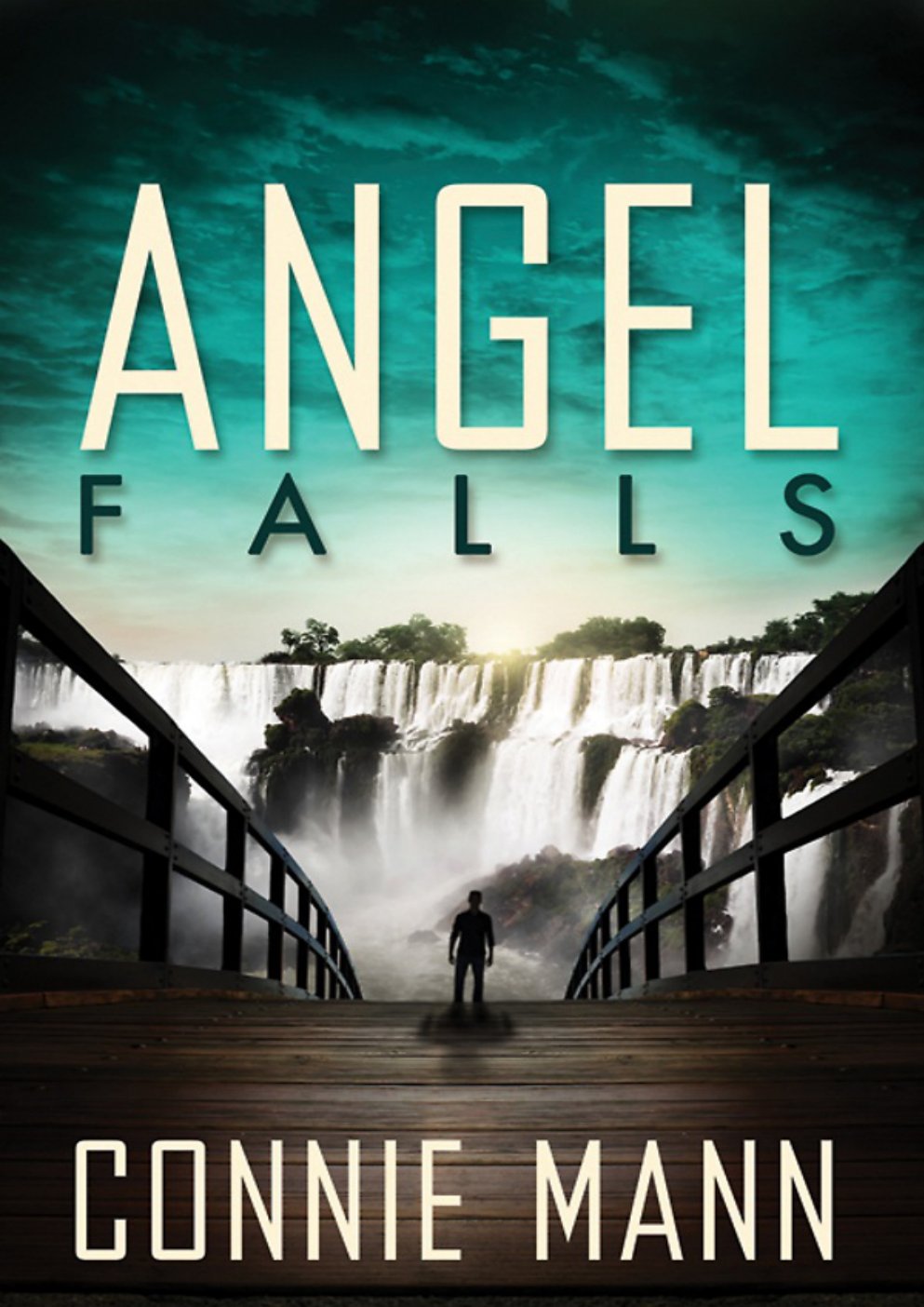 Cover of Angel Falls