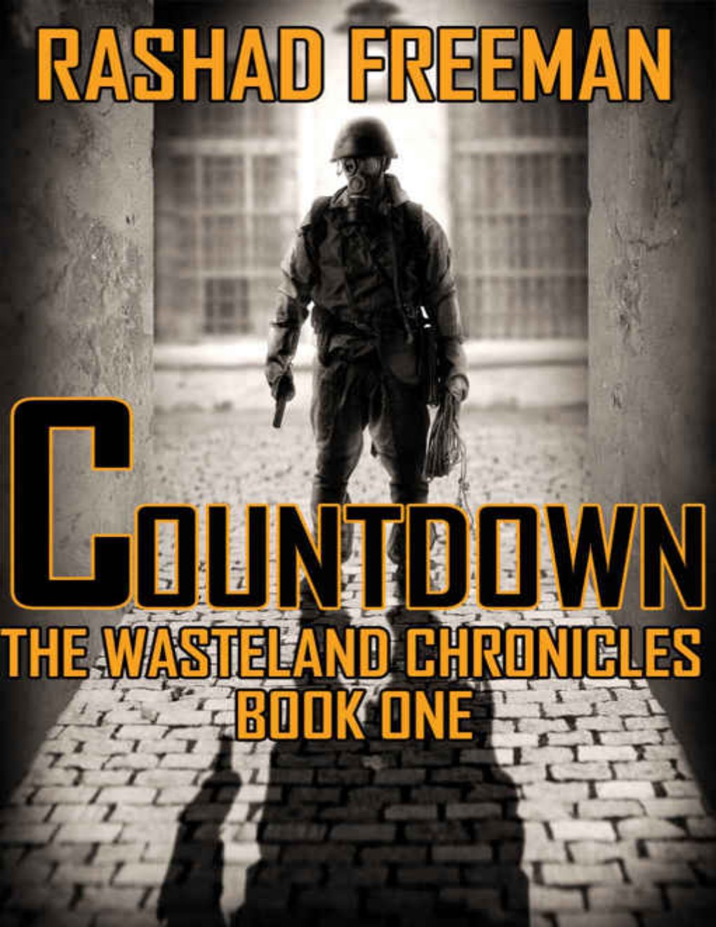 Cover of Countdown: The Wasteland Chronicles Book One