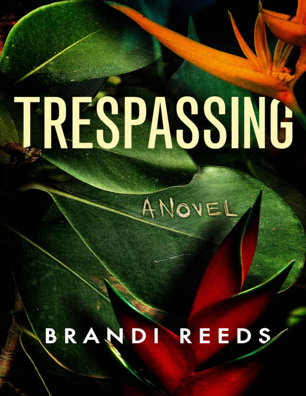Cover of Trespassing: A Novel