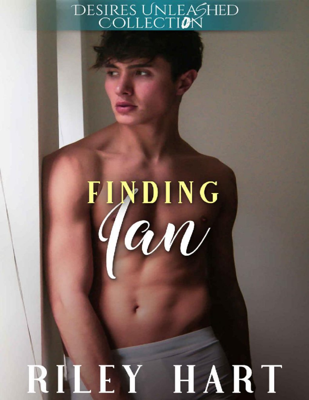Cover of Finding Ian