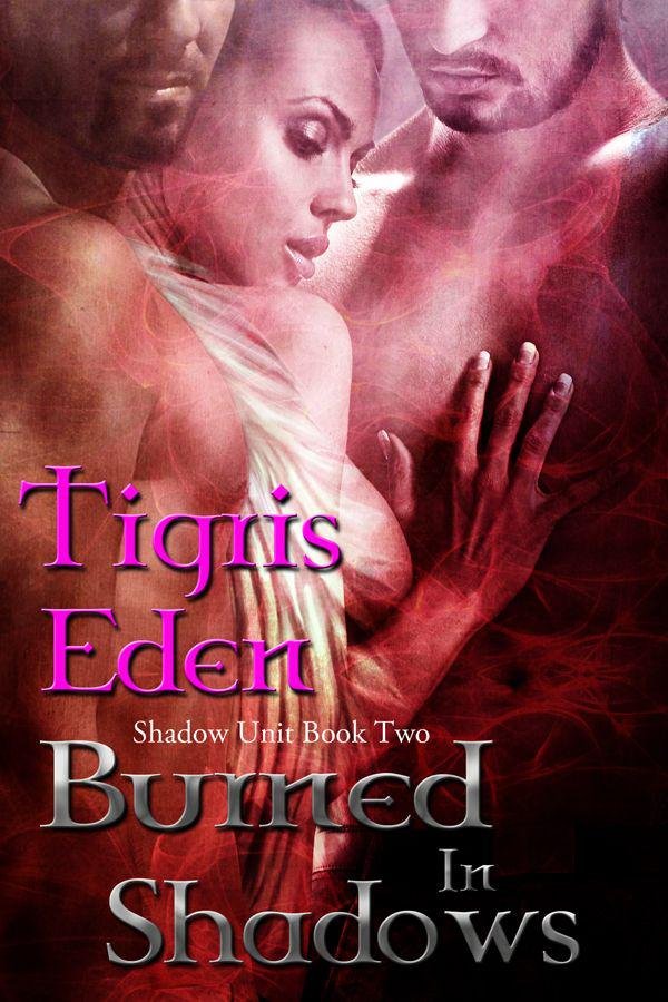 Cover of Burned In Shadows (Shadow Unit)