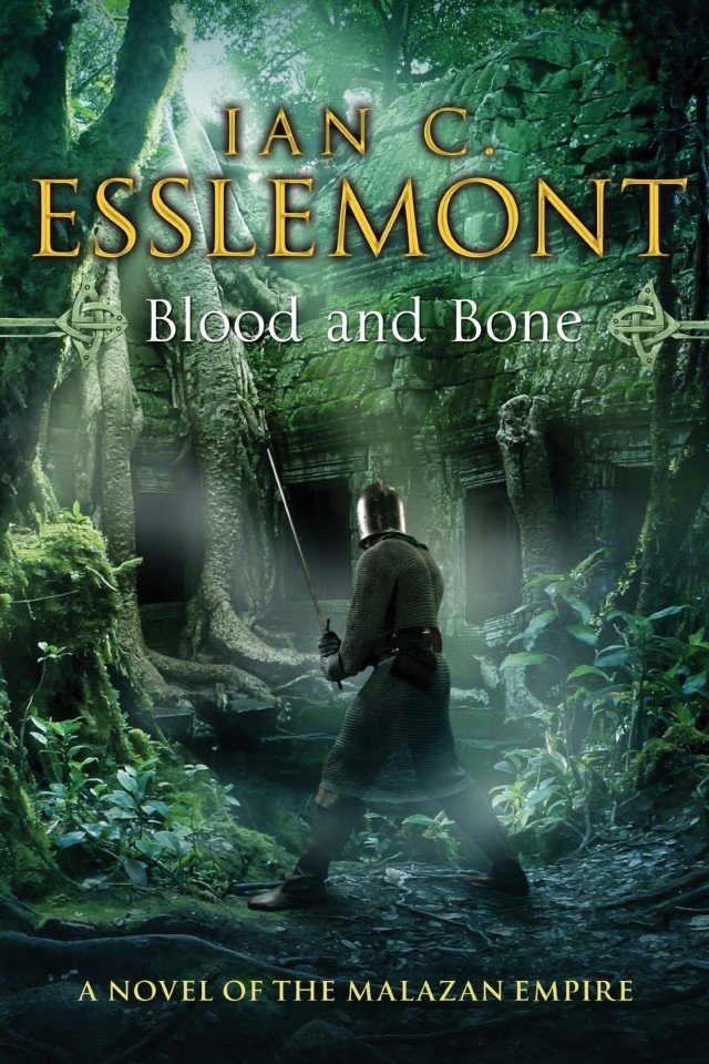 Cover of Blood and Bone (2012)
