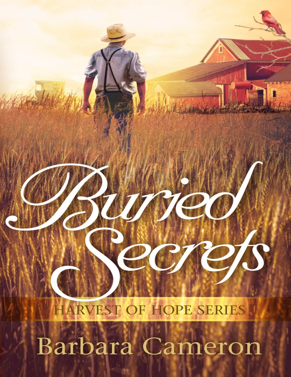 Cover of Buried Secrets