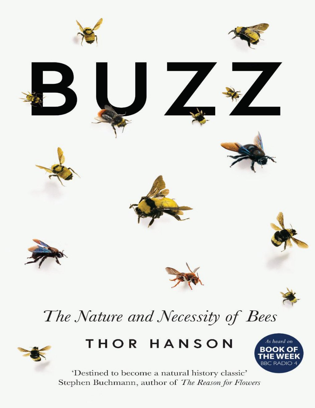 Cover of Buzz