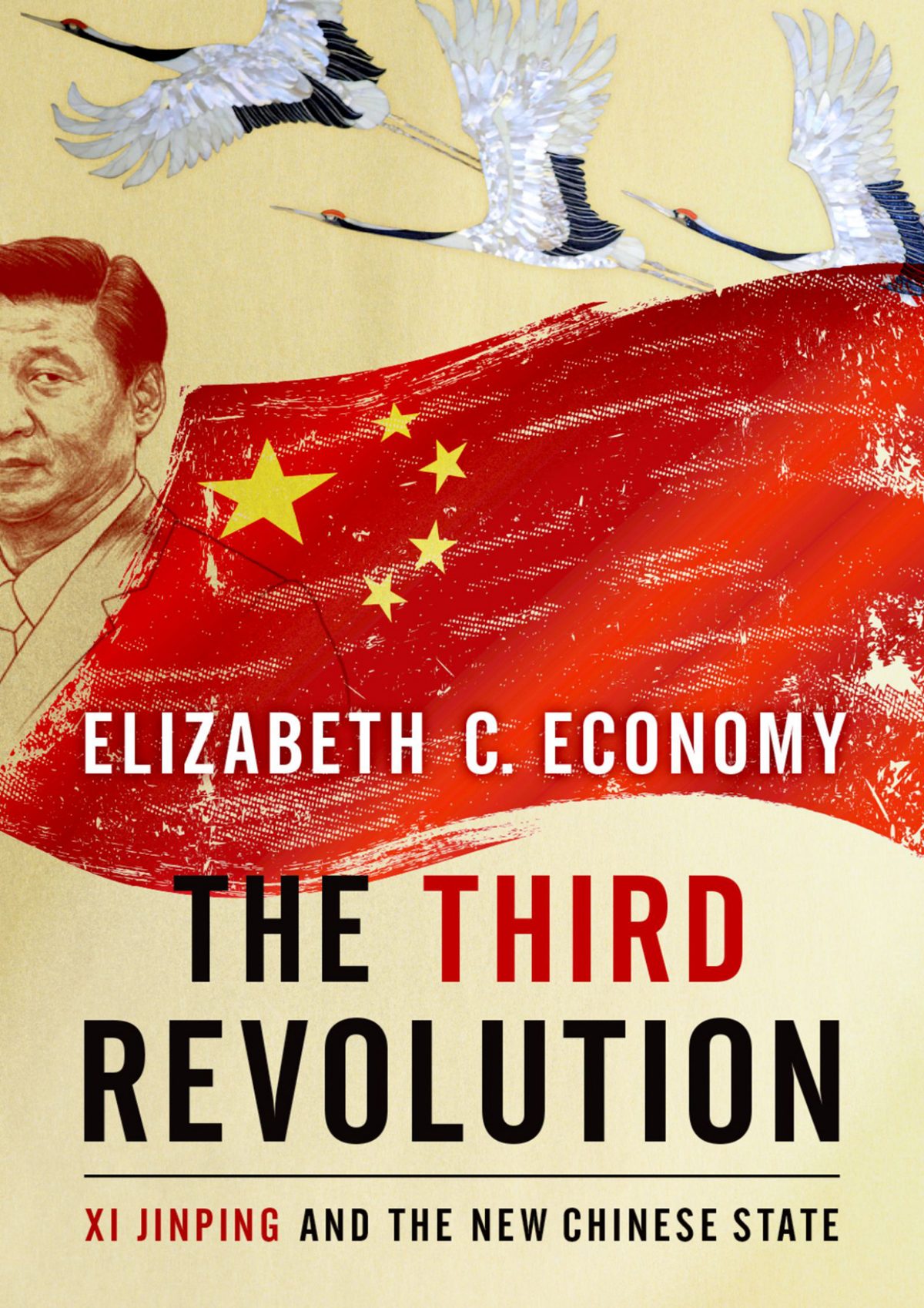 Cover of The Third Revolution (1921)