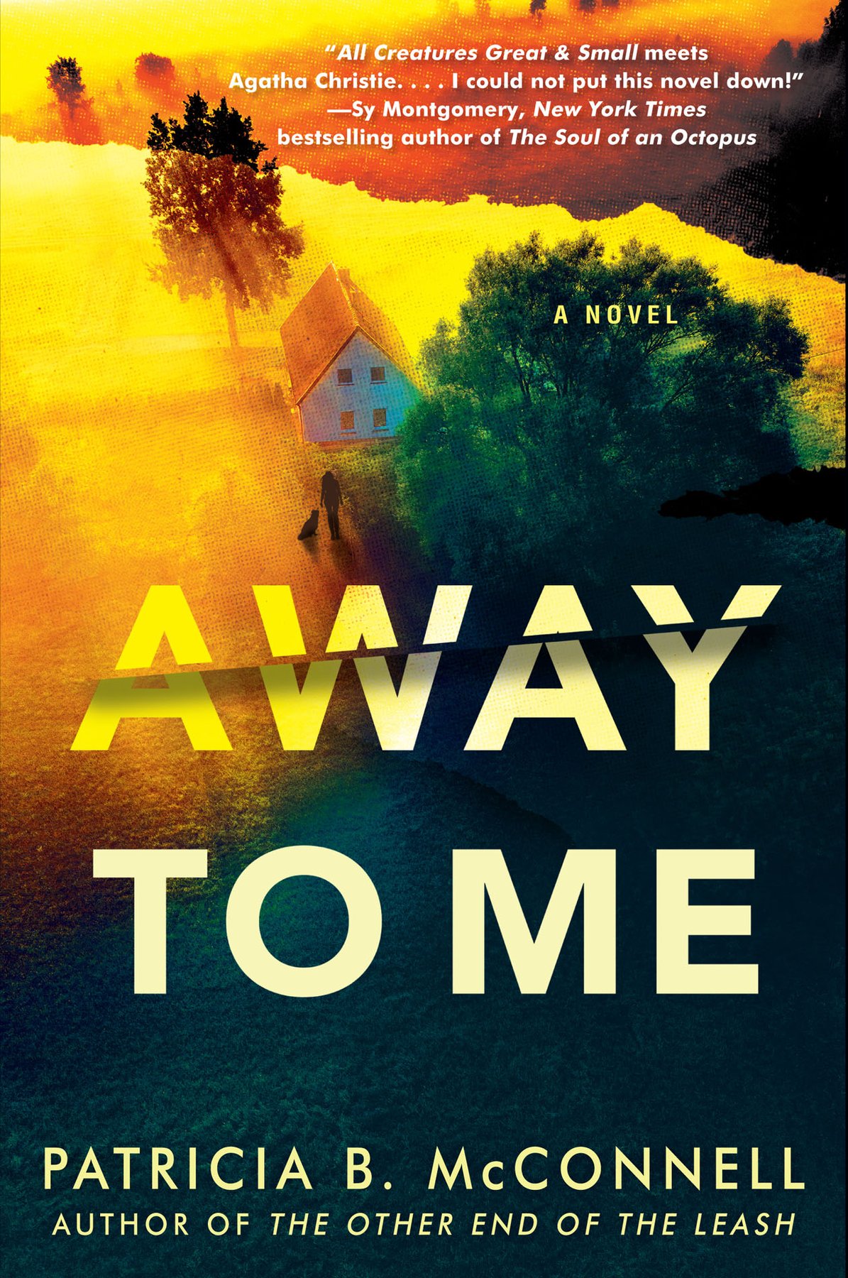 Cover of Away to Me