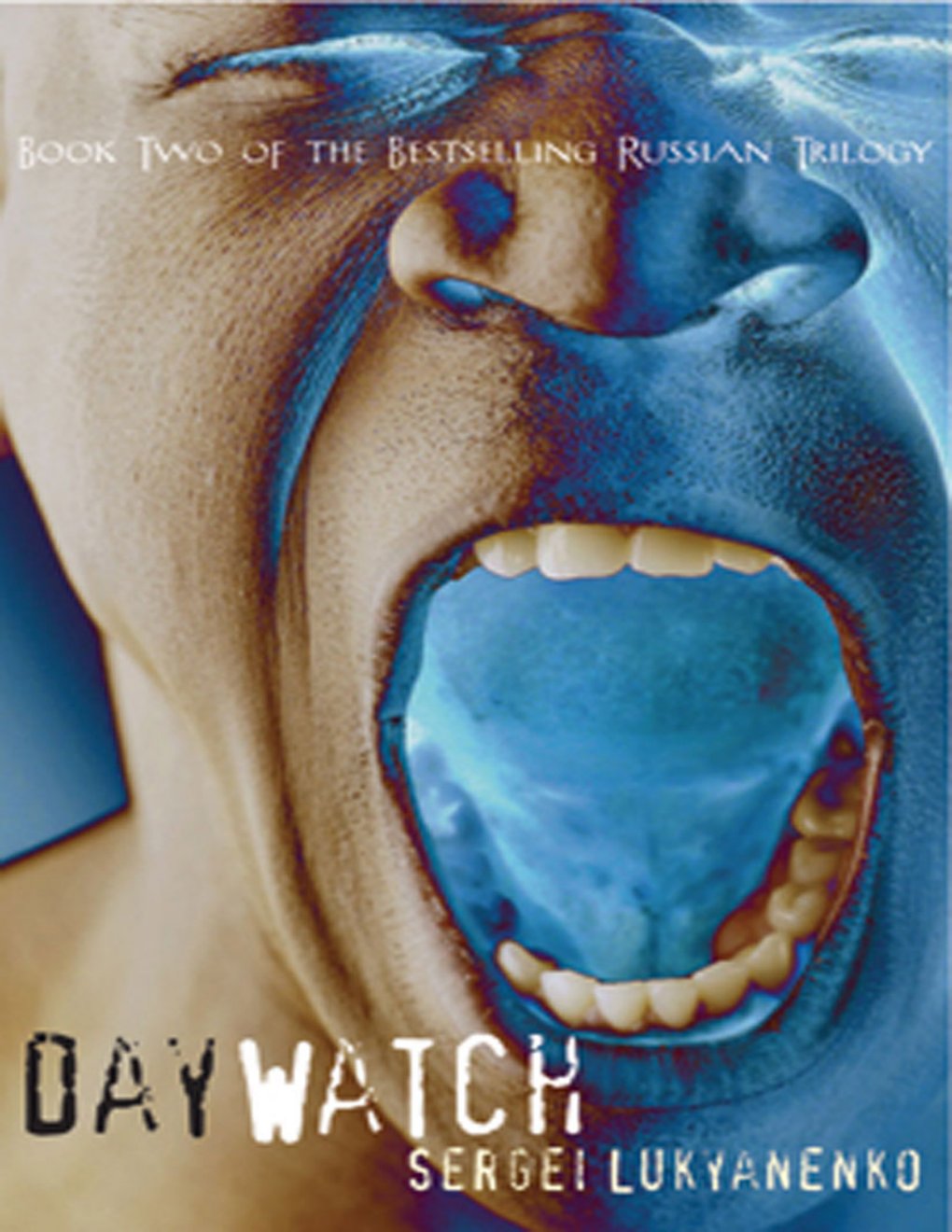Cover of Day Watch (1999)