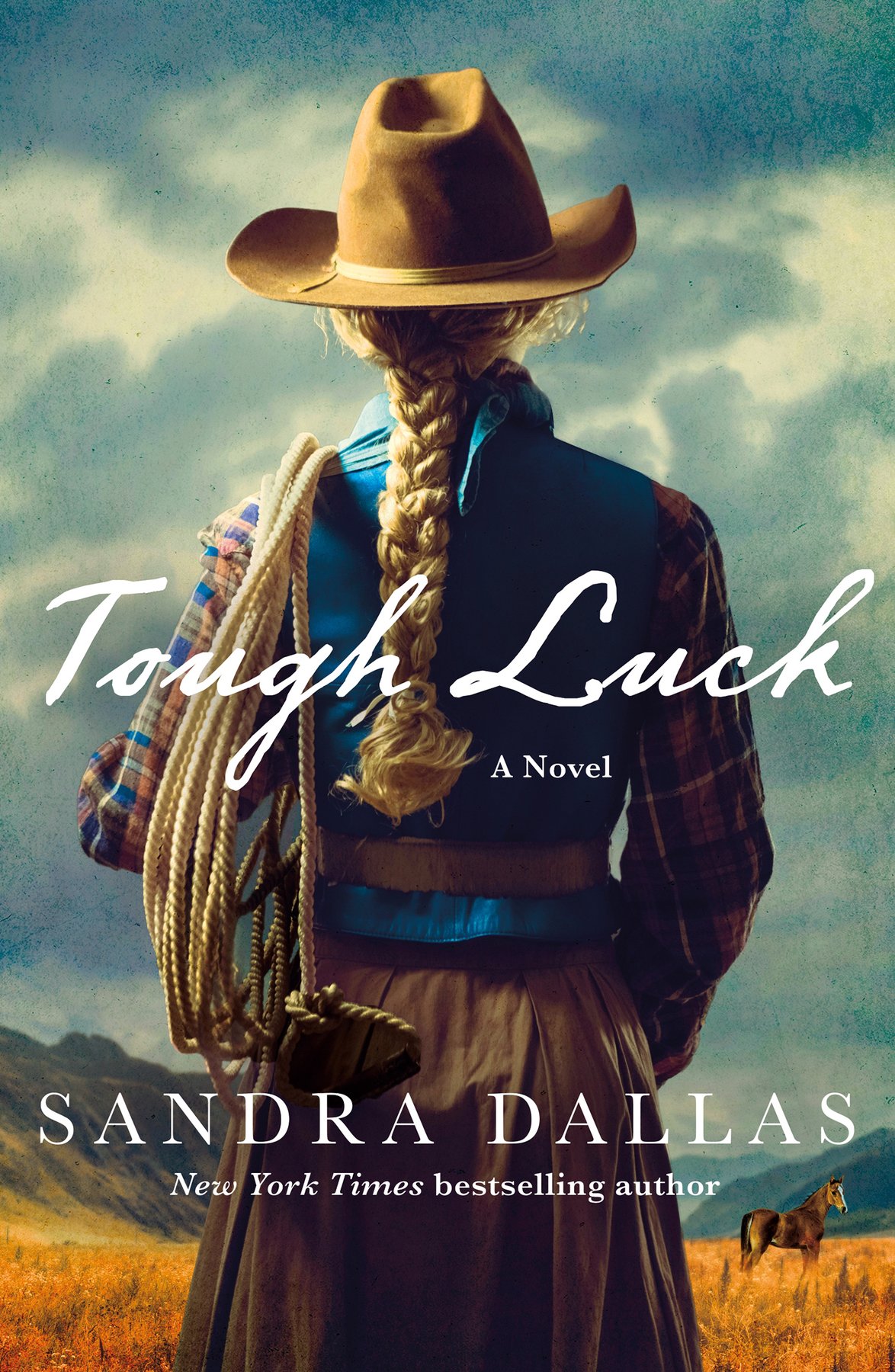 Cover of Tough Luck