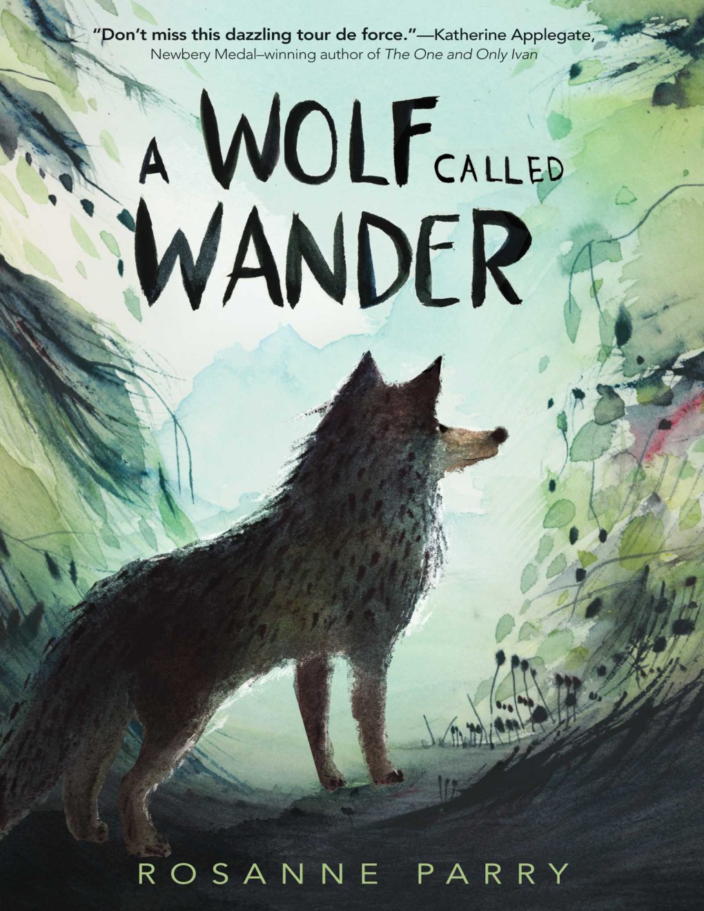 Cover of A Wolf Called Wander (2000)