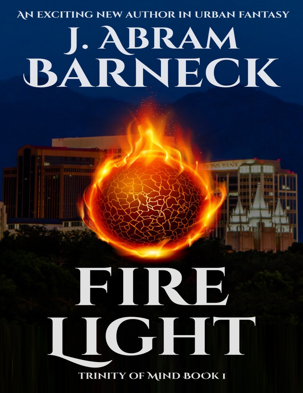 Cover of Fire Light