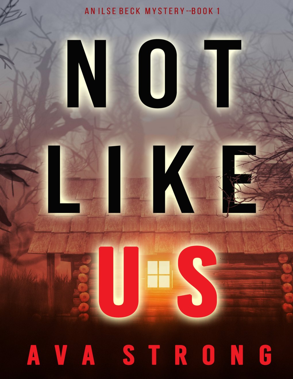 Cover of NOT LIKE US