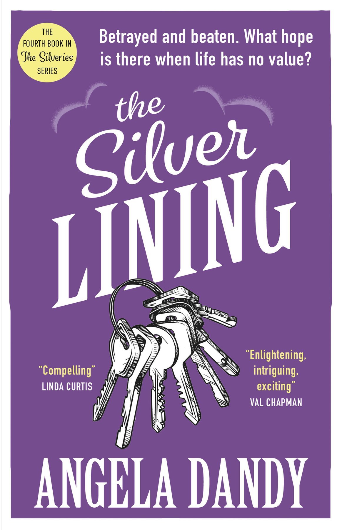 Cover of The Silver Lining (The Silveries Book 4)