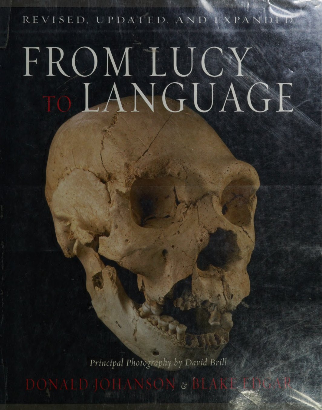 Cover of From Lucy to language