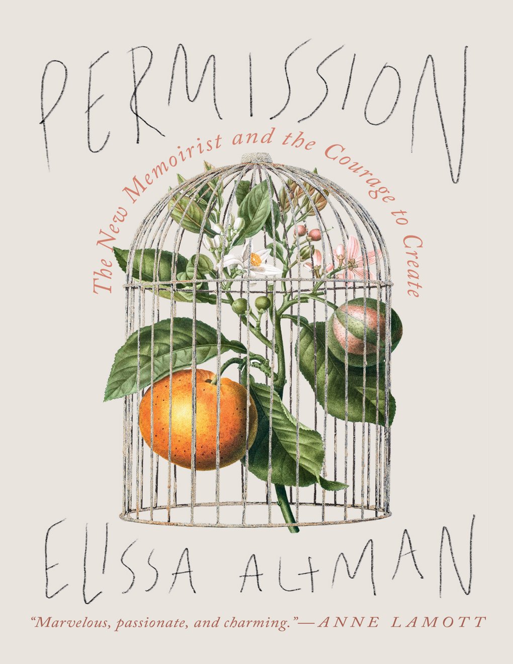 Cover of Permission (1993)