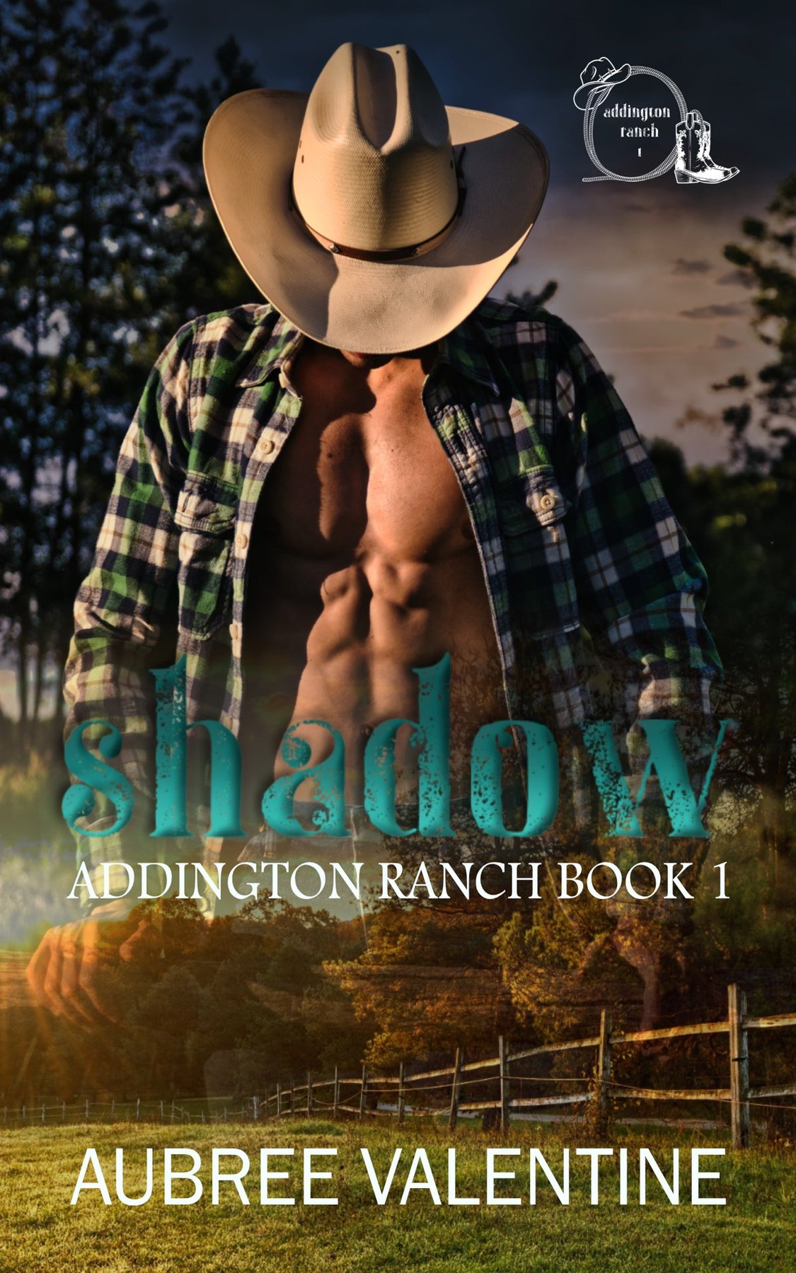 Cover of Shadow (2016)