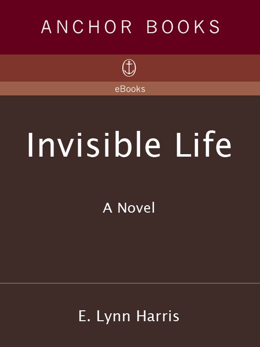 Cover of Invisible Life (1991)