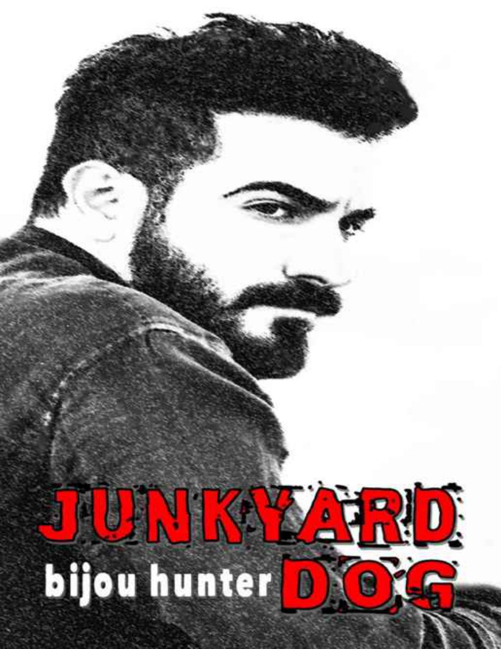 Cover of Junkyard Dog