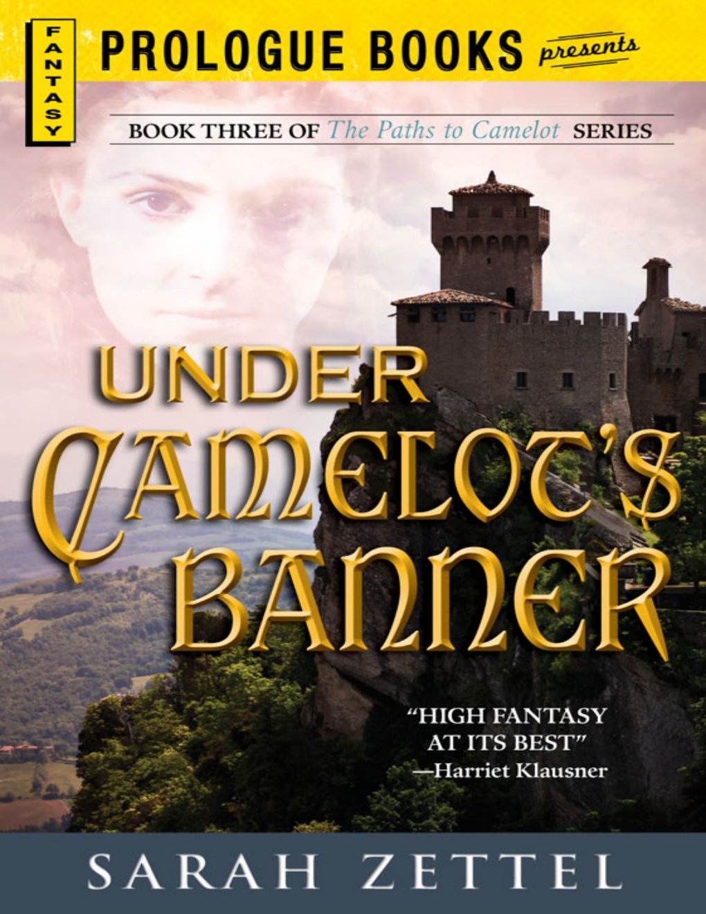Cover of Under Camelot's Banner