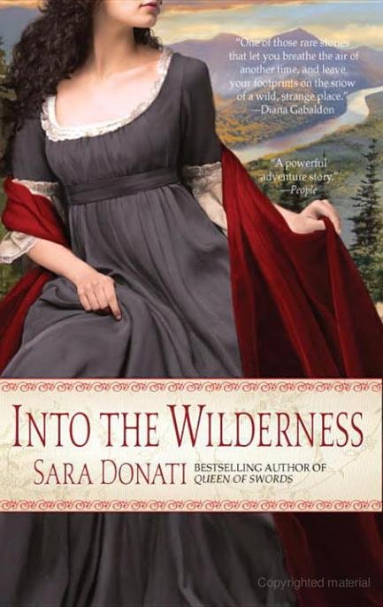 Cover of Into the Wilderness