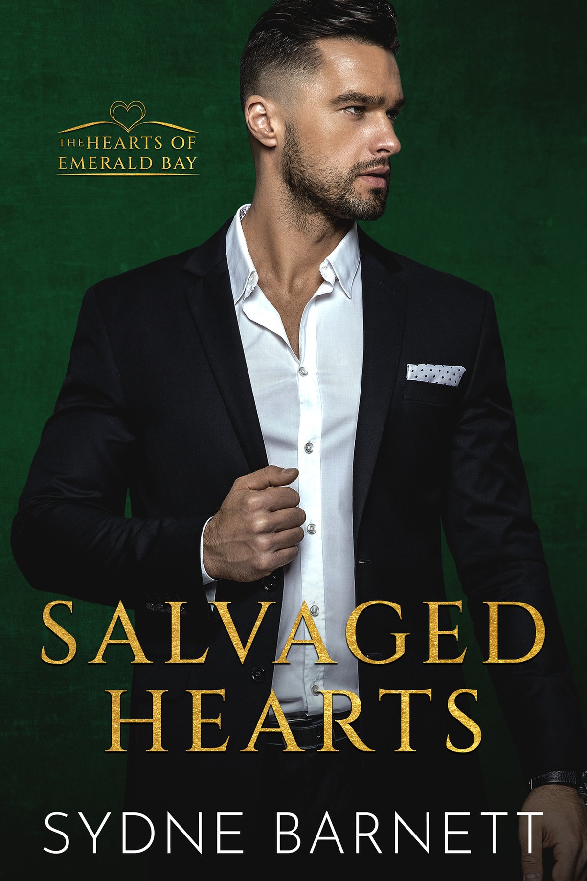 Cover of Salvaged Hearts (2024)