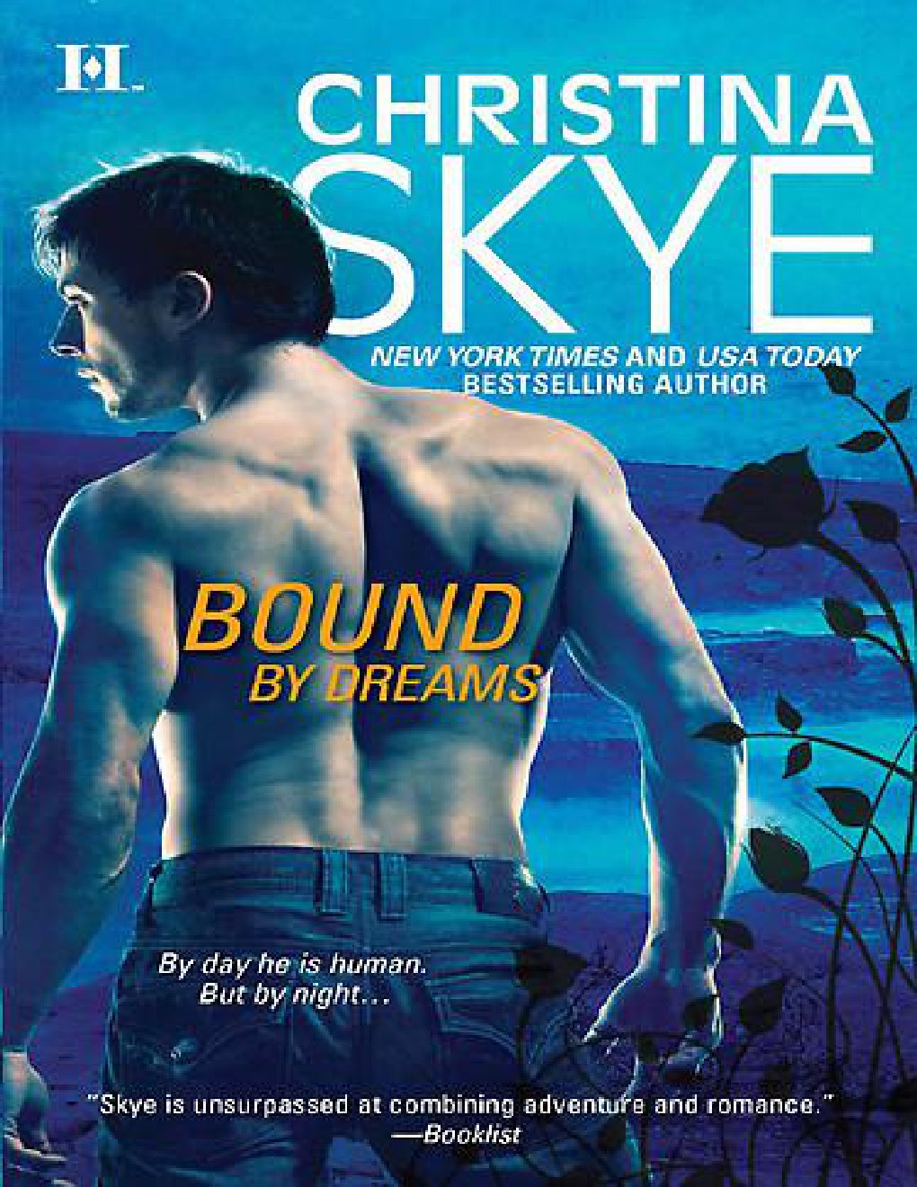 Cover of Bound by Dreams