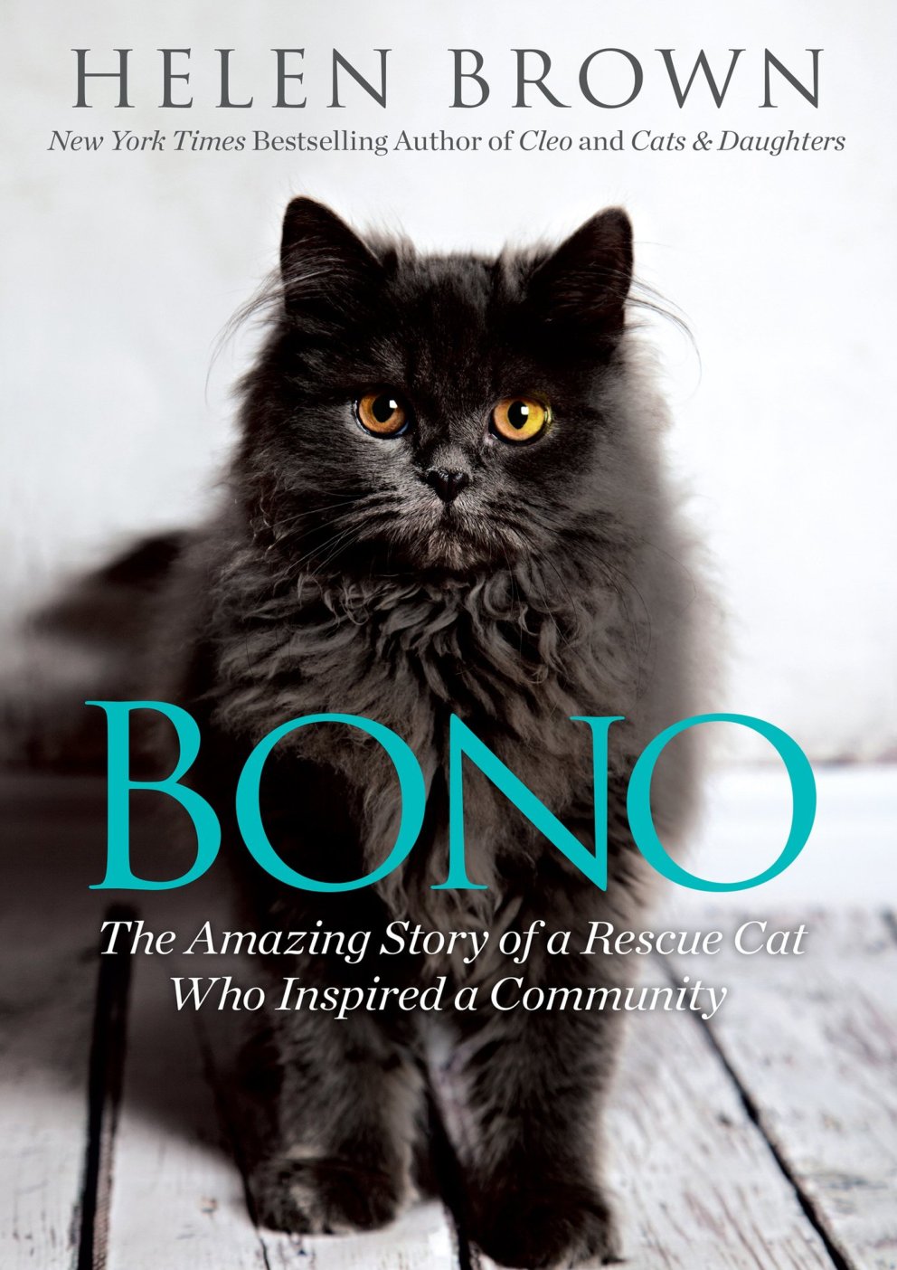 Cover of Bono