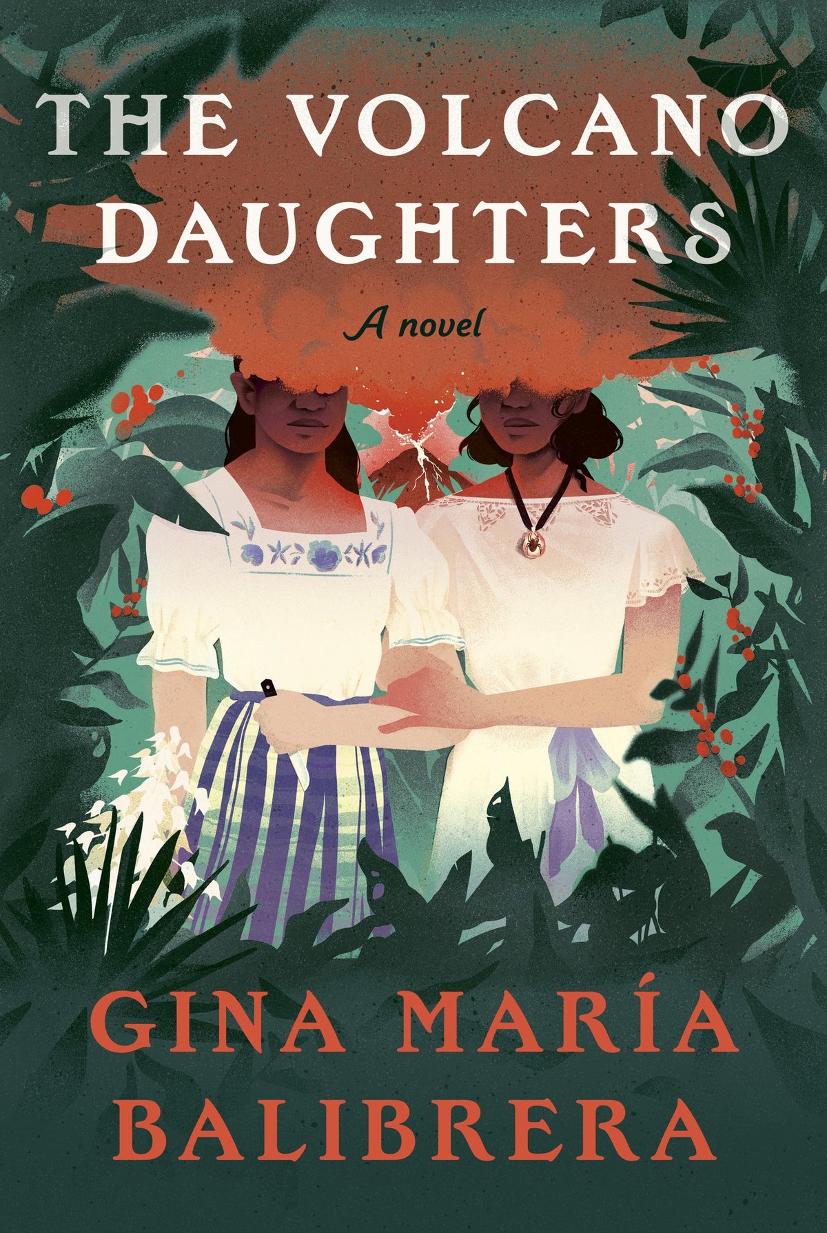 Cover of The Volcano Daughters