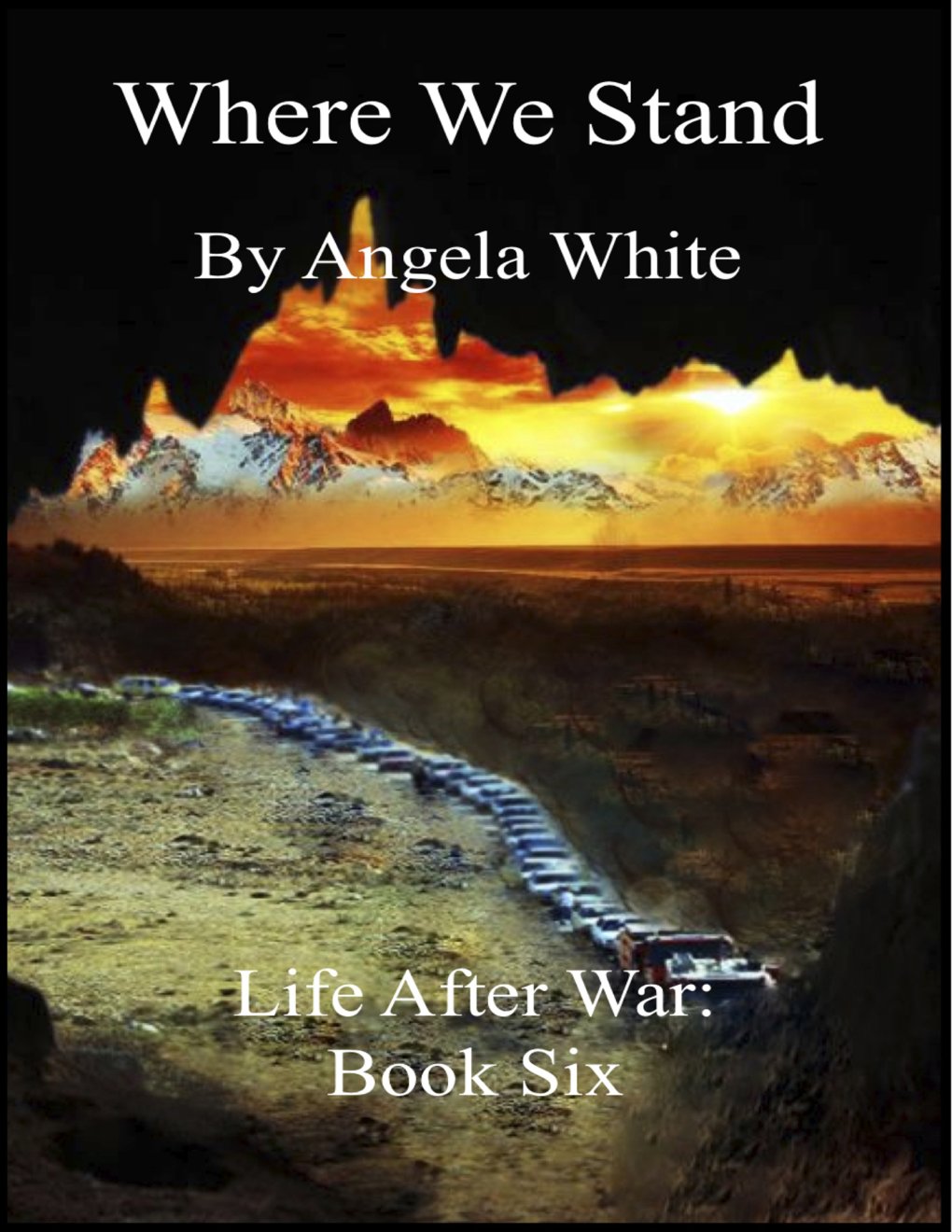 Cover of Where We Stand