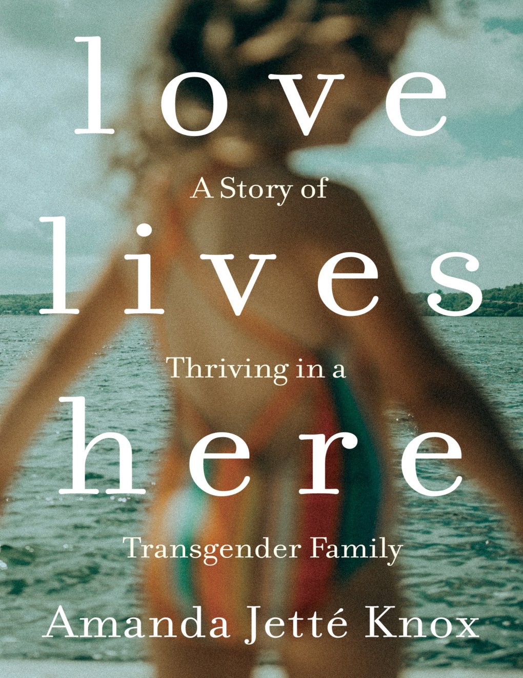 Cover of Love Lives Here