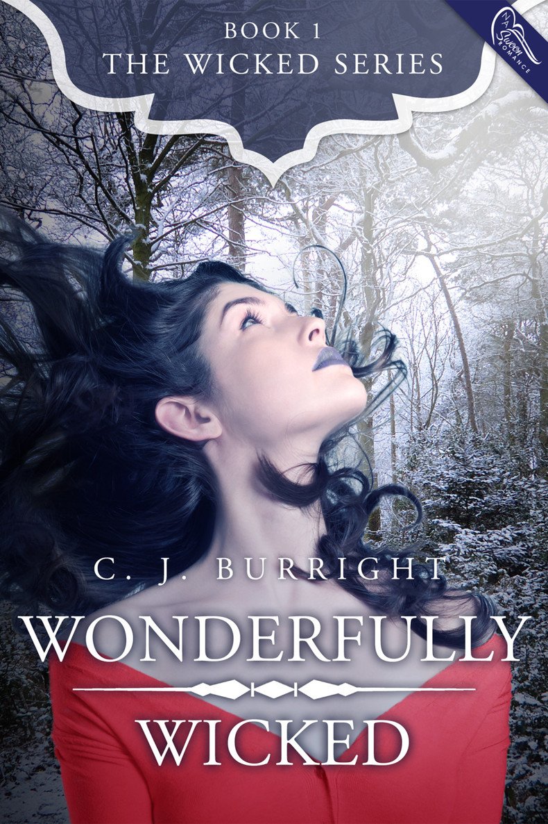 Cover of Wonderfully Wicked